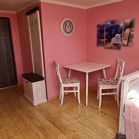 Appartamento Аpartment For Lady Černivci Esterno foto